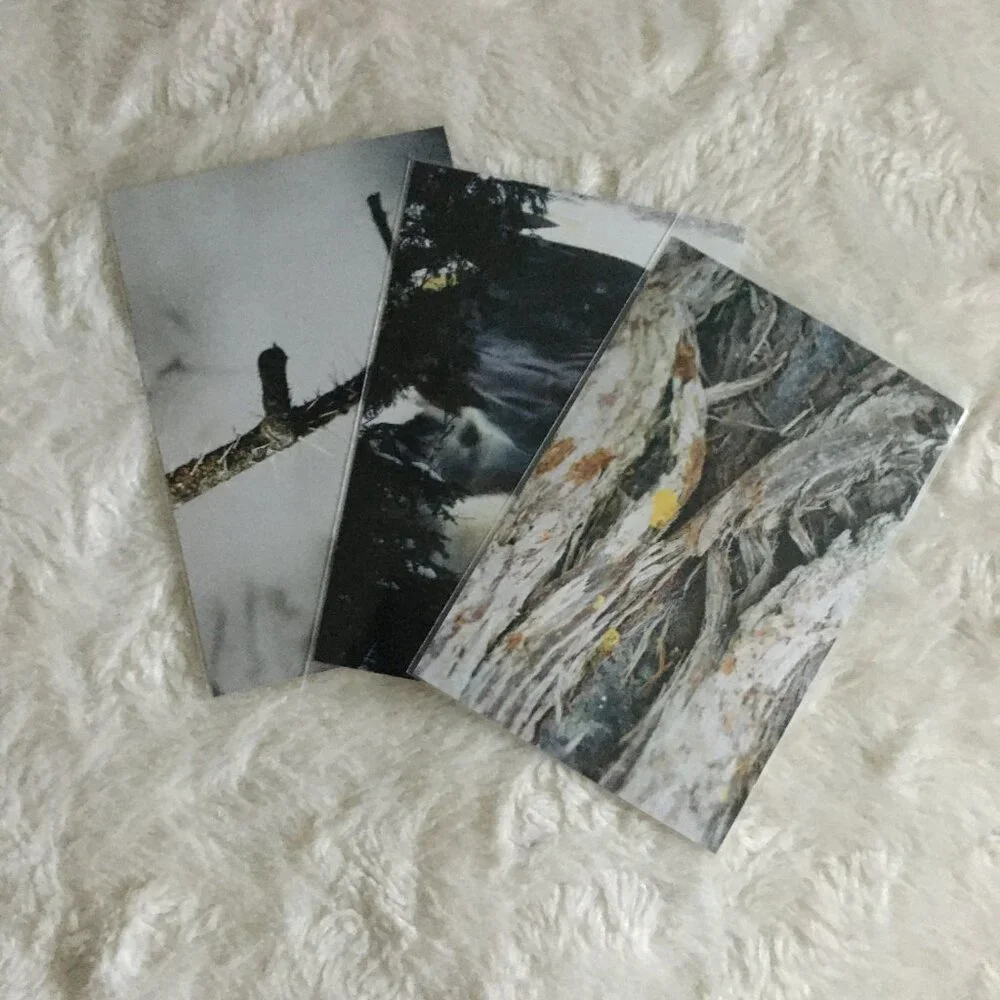 Set of 4 Original Canadian Winter Photographs Nature Bark Twigs River Macro Art - Picture 7 of 7